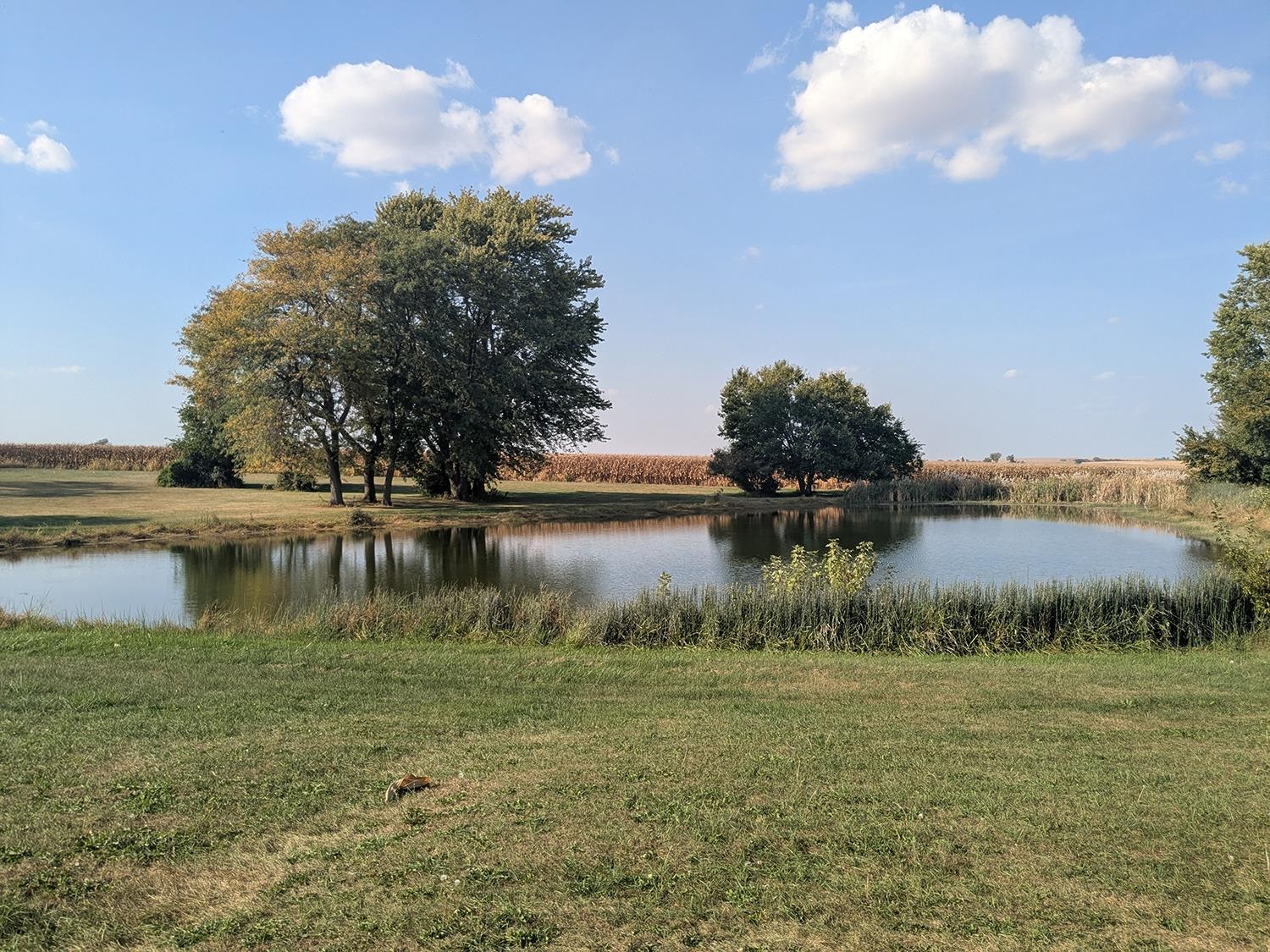 31457 Straw School Road Shannon, IL 61078 - Photo 9 of 41