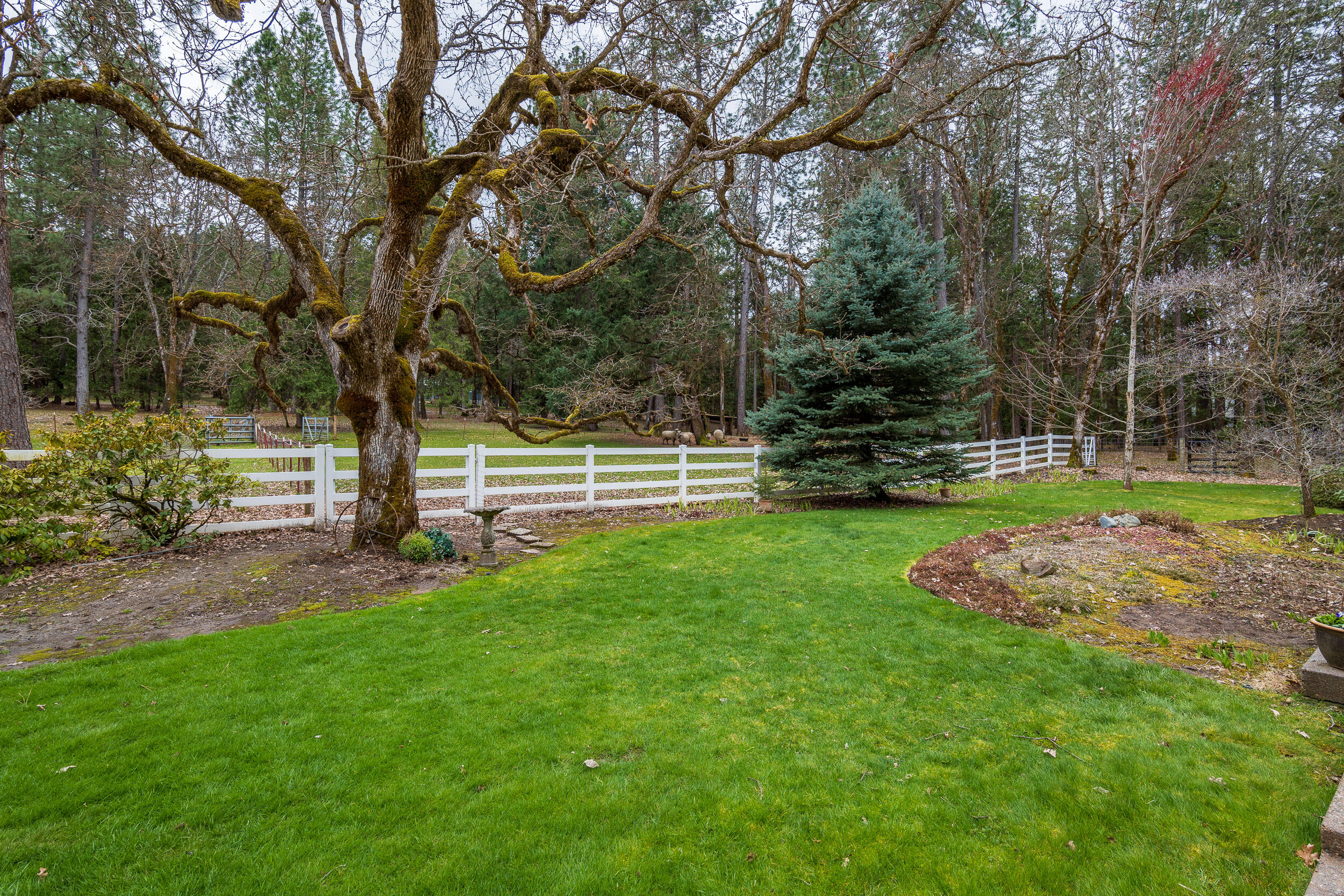 5980 Donaldson Road Grants Pass, OR 97526 - Photo 45 of 48 5980DonaldsonRd-049