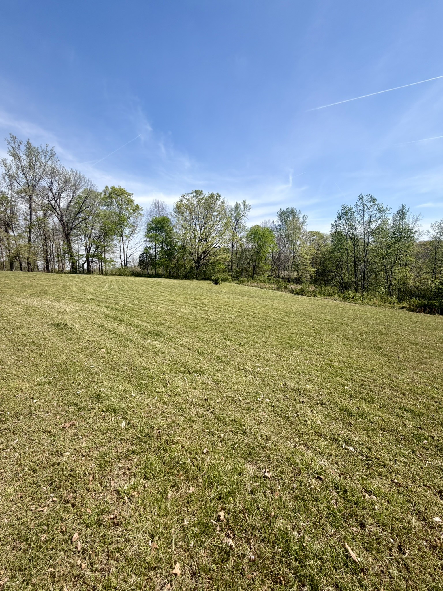 4361 York Landing Road Woodlawn, TN 37191 - Photo 5 of 11