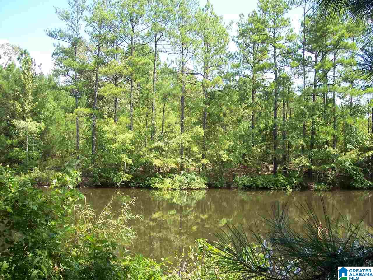 1561 Ross Lake Road Wellington, AL 36279 - Photo 47 of 50