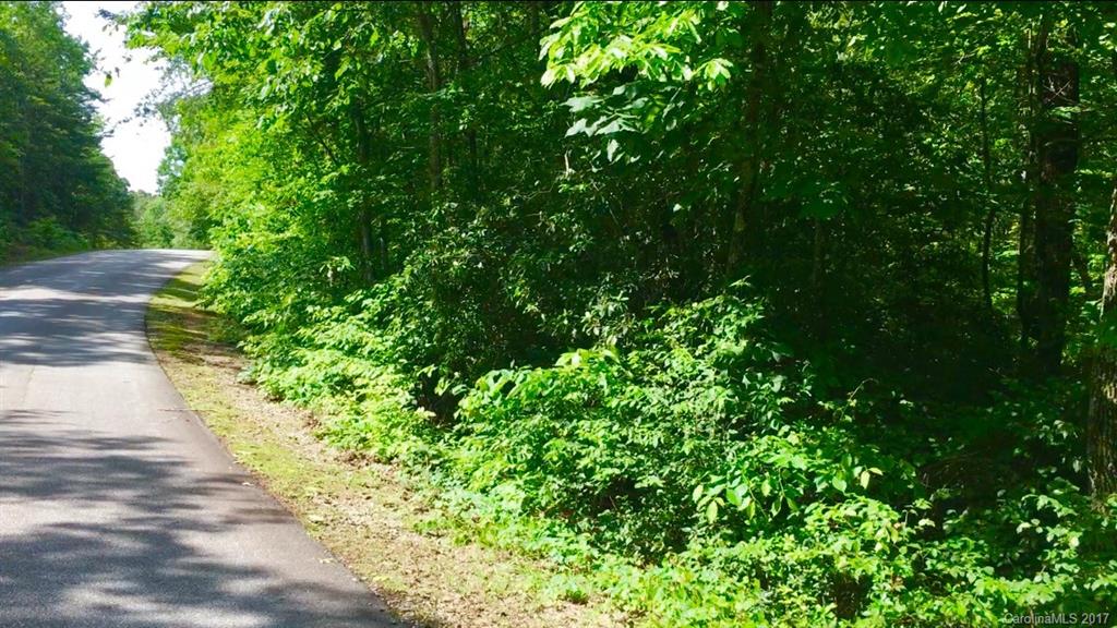 206 Fish Hawk Road, Unit 74 Cleveland, SC 29635 - Photo 2 of 17