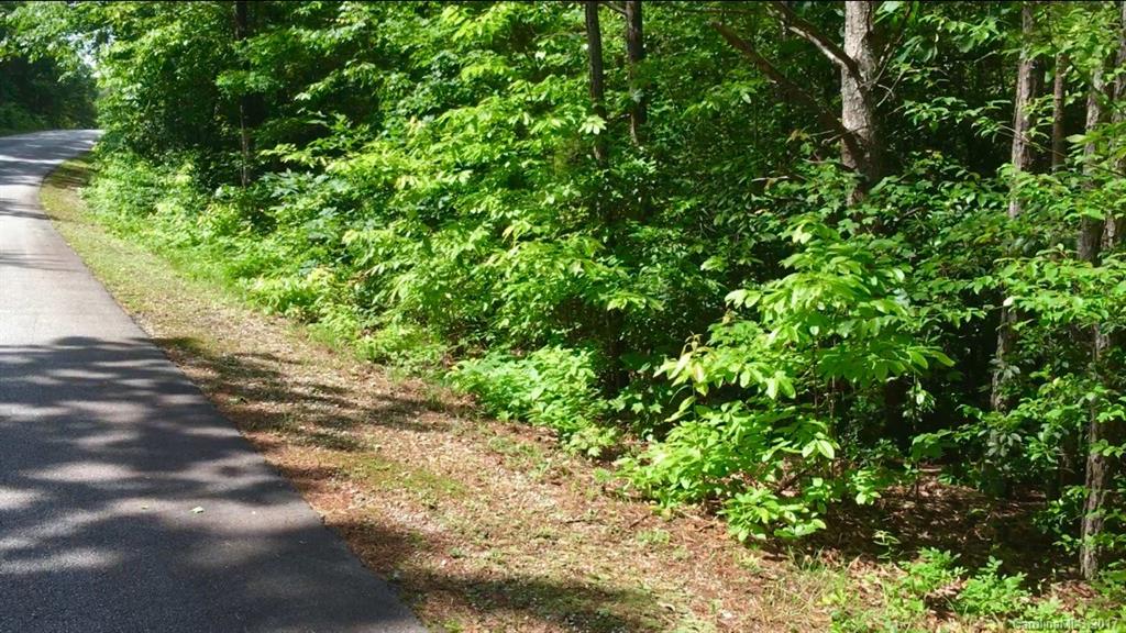 206 Fish Hawk Road, Unit 74 Cleveland, SC 29635 - Photo 3 of 17