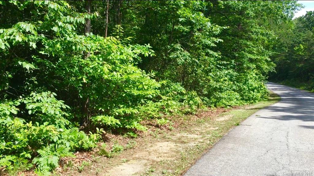 206 Fish Hawk Road, Unit 74 Cleveland, SC 29635 - Photo 4 of 17