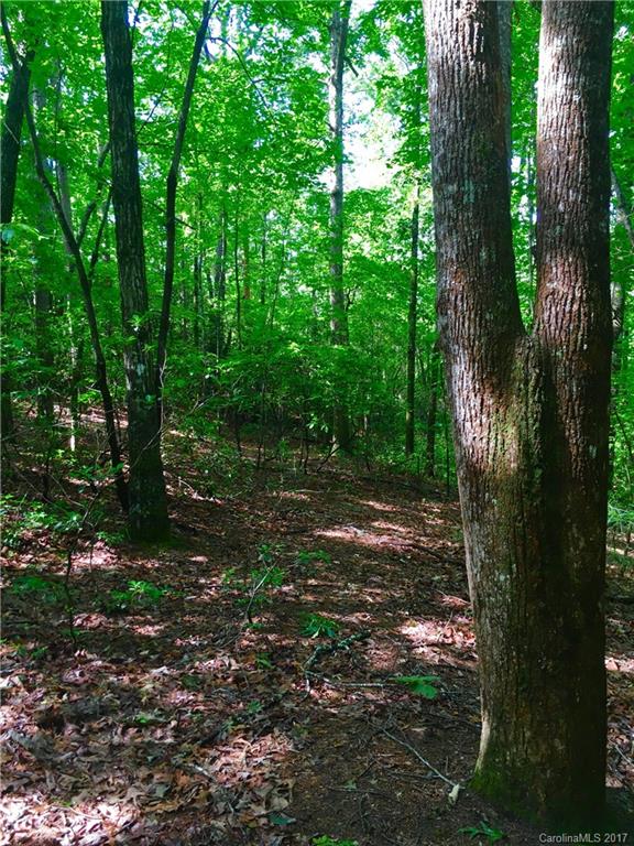 206 Fish Hawk Road, Unit 74 Cleveland, SC 29635 - Photo 8 of 17