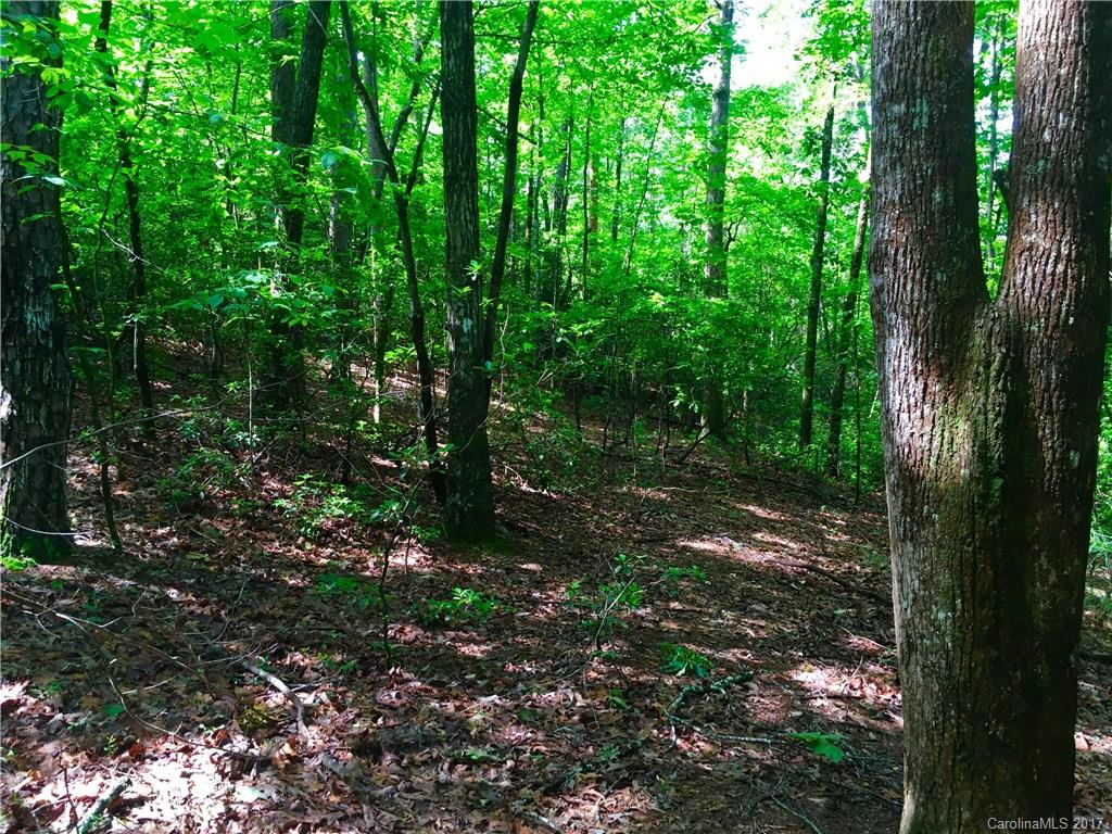 206 Fish Hawk Road, Unit 74 Cleveland, SC 29635 - Photo 10 of 17