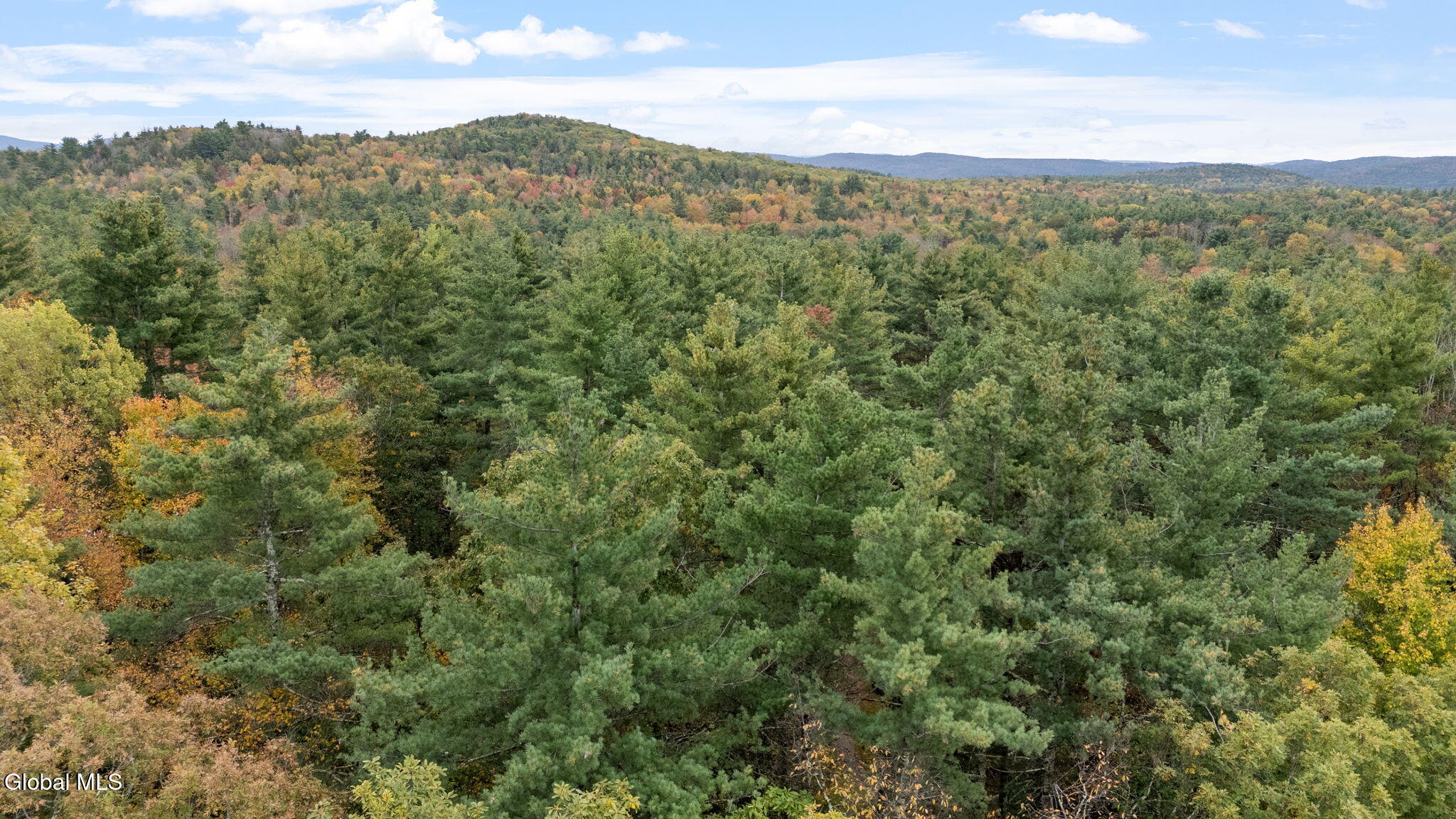 626 Garfield Road Stephentown, NY 12062 - Photo 15 of 74 91-web-or-mls-626-garfield-rd