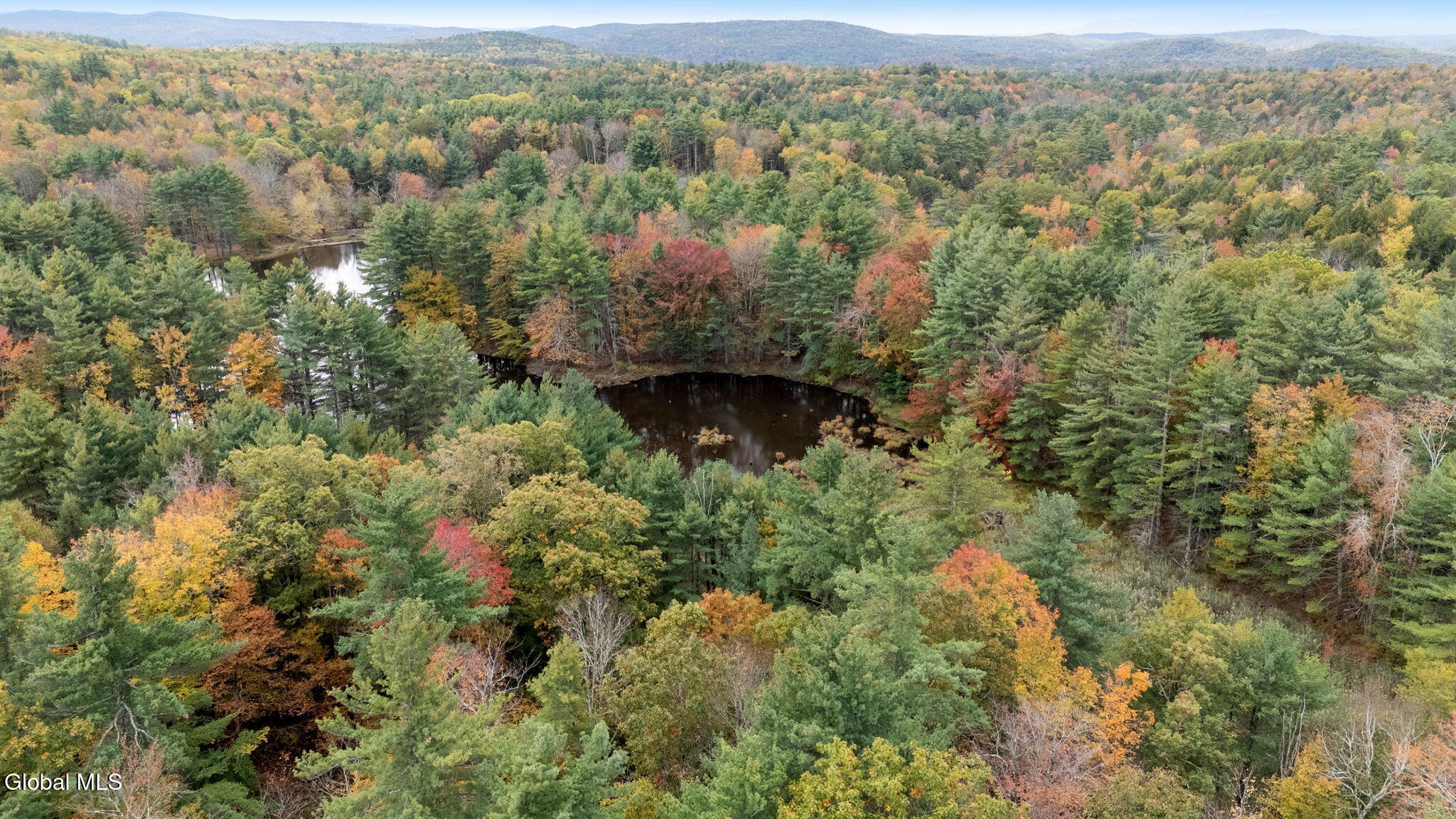 626 Garfield Road Stephentown, NY 12062 - Photo 18 of 74 81-web-or-mls-626-garfield-rd