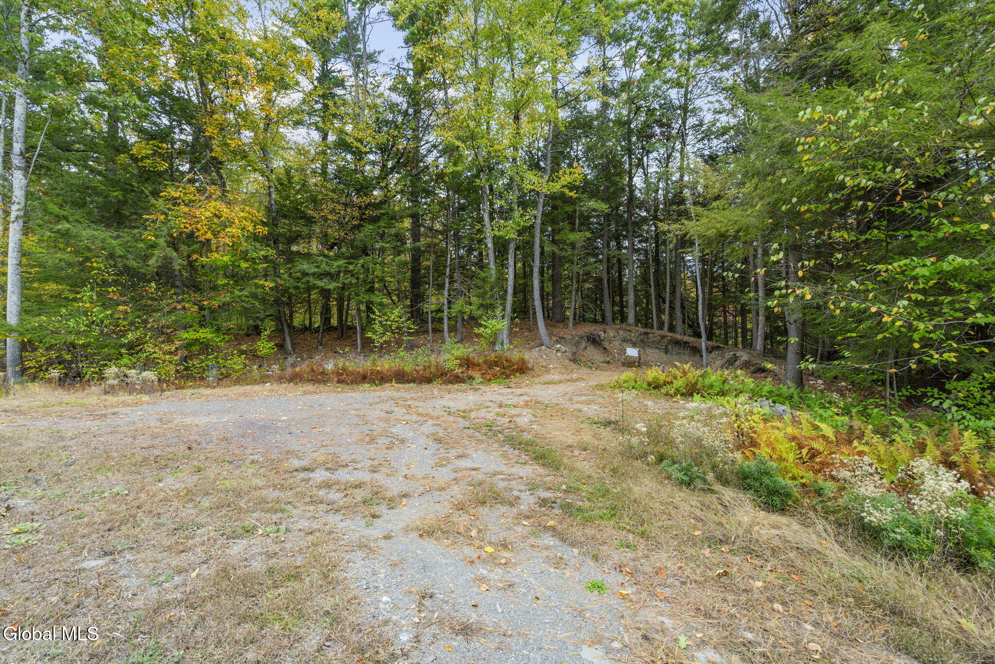 626 Garfield Road Stephentown, NY 12062 - Photo 60 of 74 14-web-or-mls-626-garfield-rd