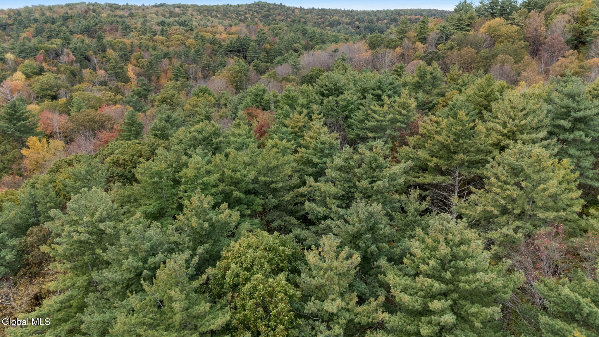 626 Garfield Road Stephentown, NY 12062 - Photo 8 of 78 108-web-or-mls-626-garfield-rd