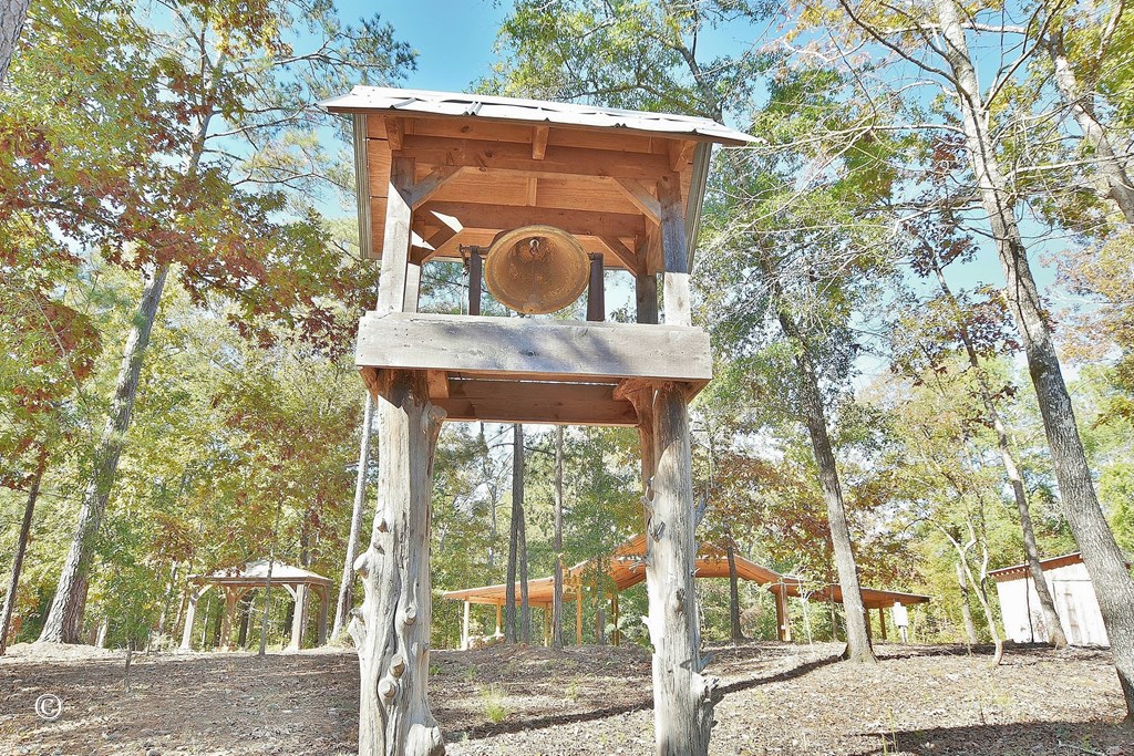 3175 Salem Road Pine Mountain, GA 31822 - Photo 11 of 44