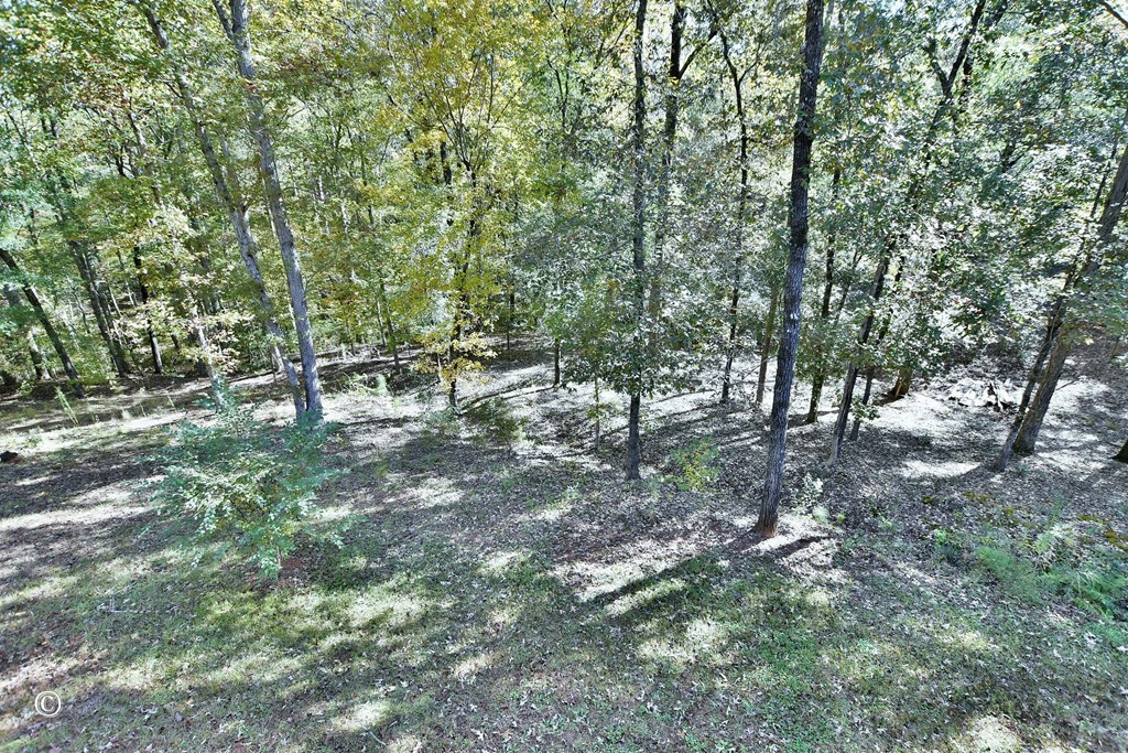 3175 Salem Road Pine Mountain, GA 31822 - Photo 14 of 44