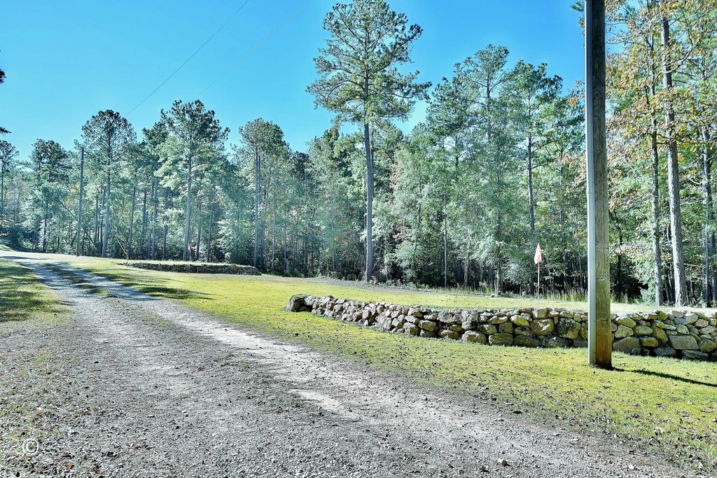 3175 Salem Road Pine Mountain, GA 31822 - Photo 3 of 44