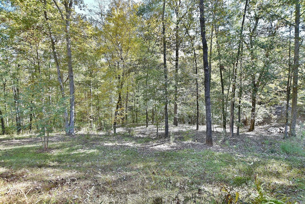 3175 Salem Road Pine Mountain, GA 31822 - Photo 33 of 44