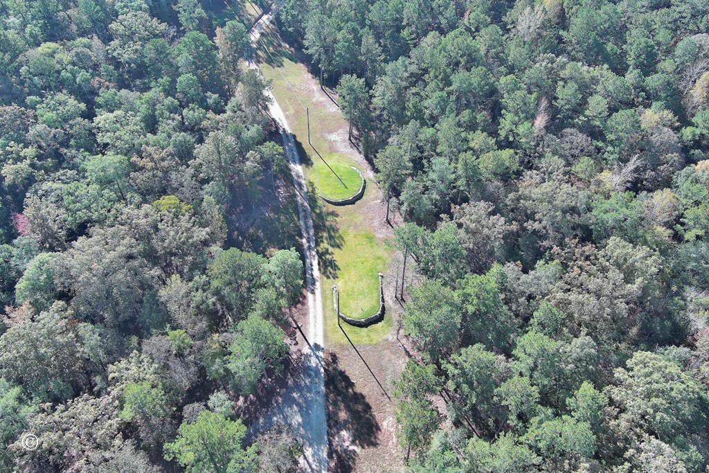 3175 Salem Road Pine Mountain, GA 31822 - Photo 39 of 44