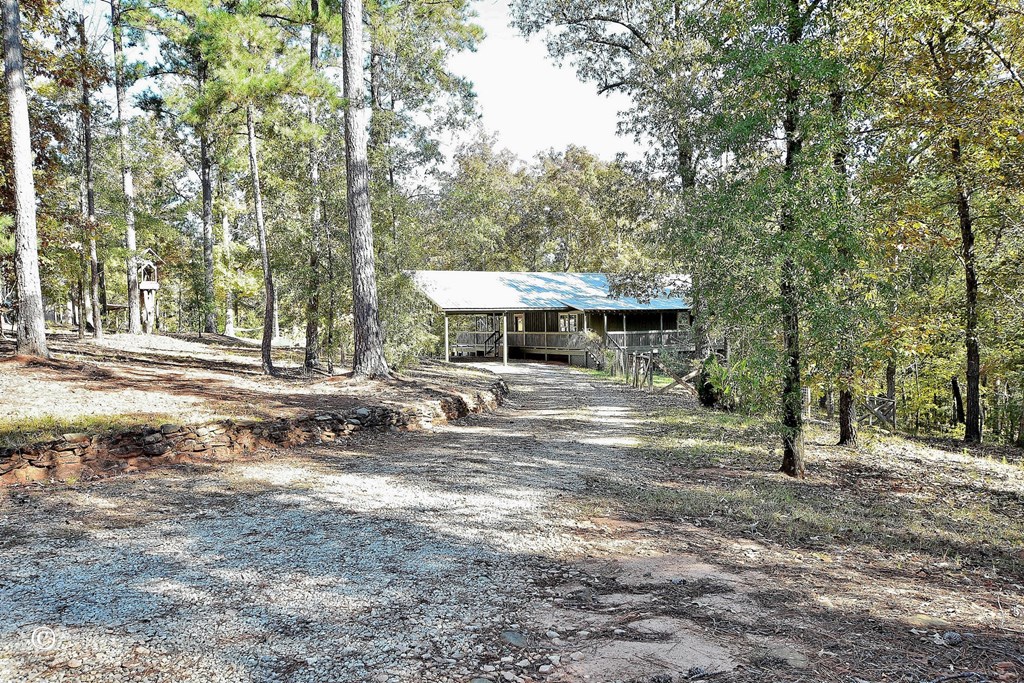 3175 Salem Road Pine Mountain, GA 31822 - Photo 4 of 44