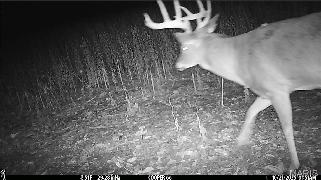 0 Arrow Rock Road Blackwater, MO 65322 - Photo 13 of 26