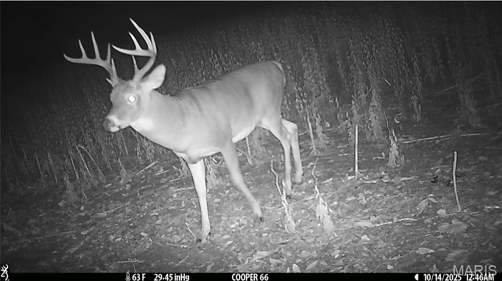 0 Arrow Rock Road Blackwater, MO 65322 - Photo 14 of 26