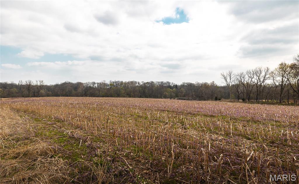 0 Arrow Rock Road Blackwater, MO 65322 - Photo 18 of 26