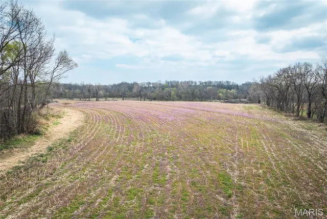 $525,000 | 0 Arrow Rock Road, Blackwater, MO 65322