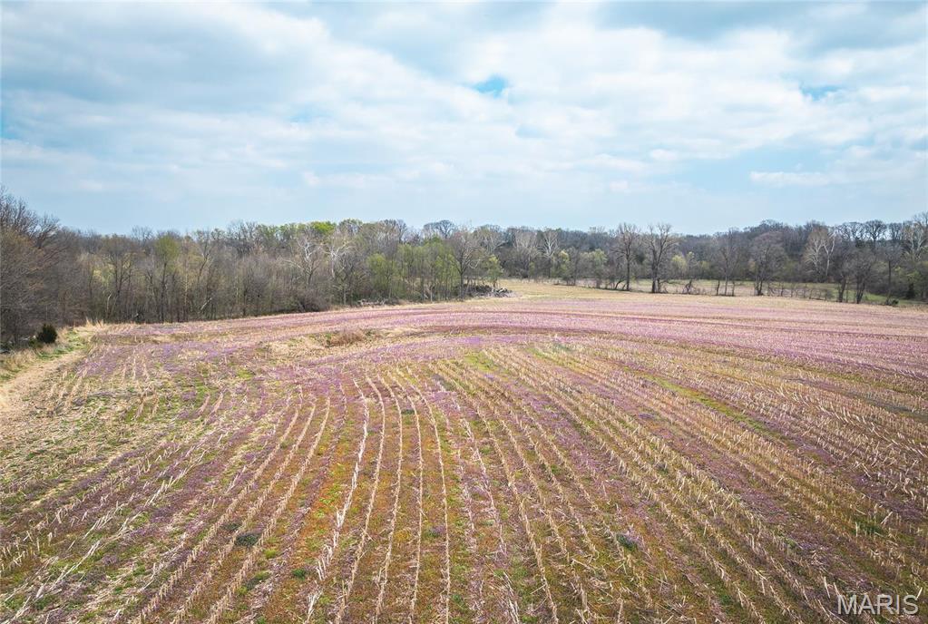 0 Arrow Rock Road Blackwater, MO 65322 - Photo 25 of 26