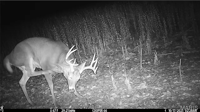 $525,000 | 0 Arrow Rock Road, Blackwater, MO 65322