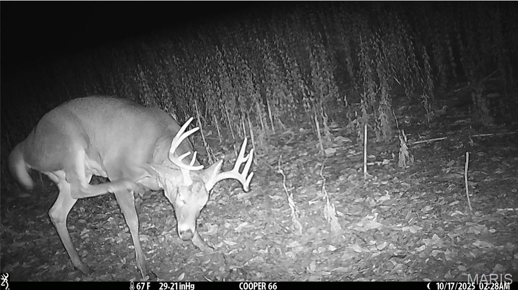 0 Arrow Rock Road Blackwater, MO 65322 - Photo 3 of 26