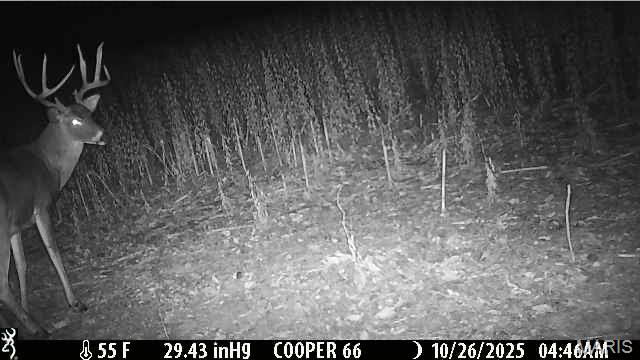 0 Arrow Rock Road Blackwater, MO 65322 - Photo 6 of 26