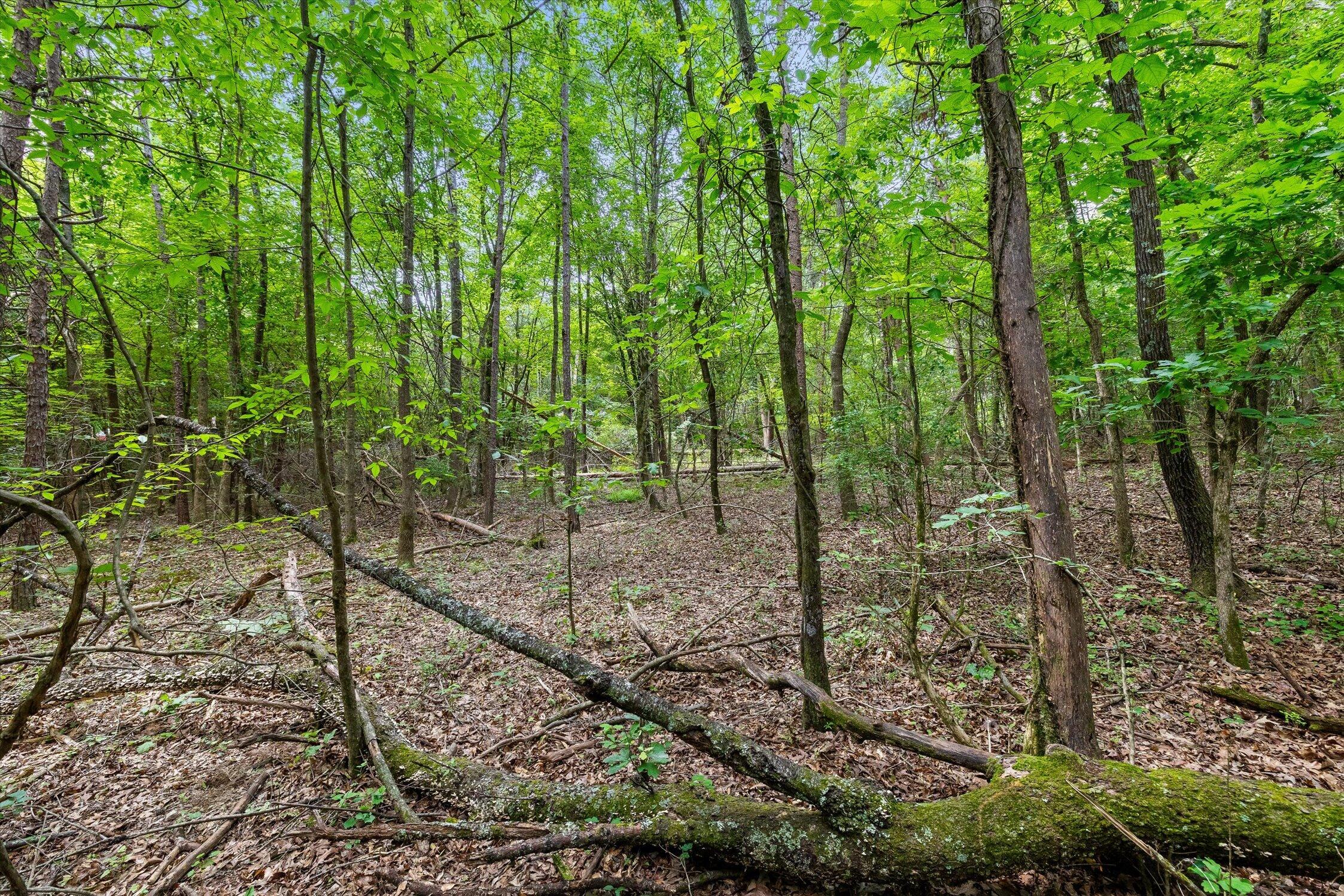 1906 Spradling Road Soddy-Daisy, TN 37379 - Photo 11 of 27 12-1906 Spradling-9