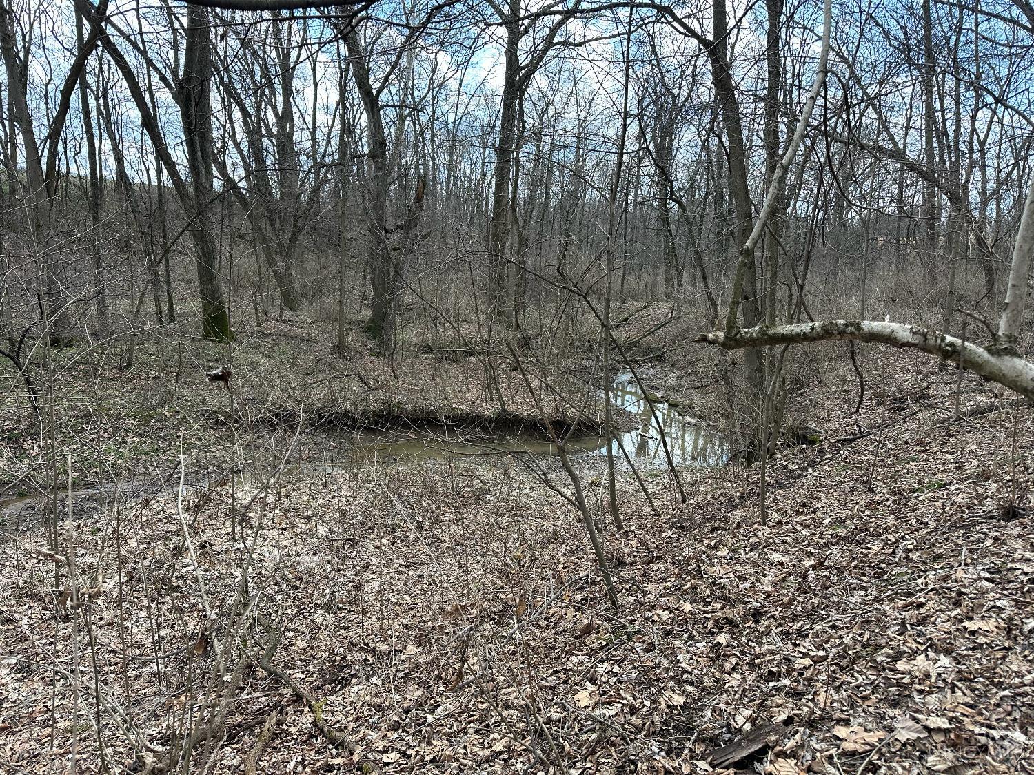 0 Wilson Road Winchester, OH 45697 - Photo 48 of 69