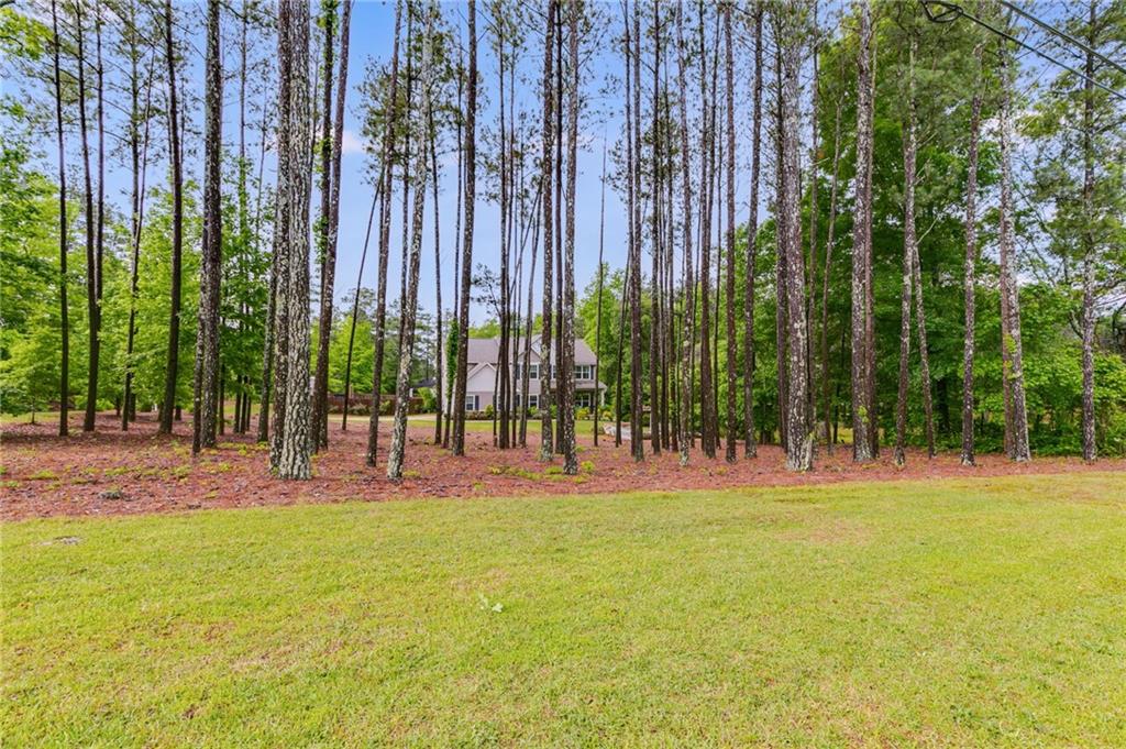 13 Westbrook Road Carrollton, GA 30116 - Photo 5 of 39 a backyard of a building with palm trees