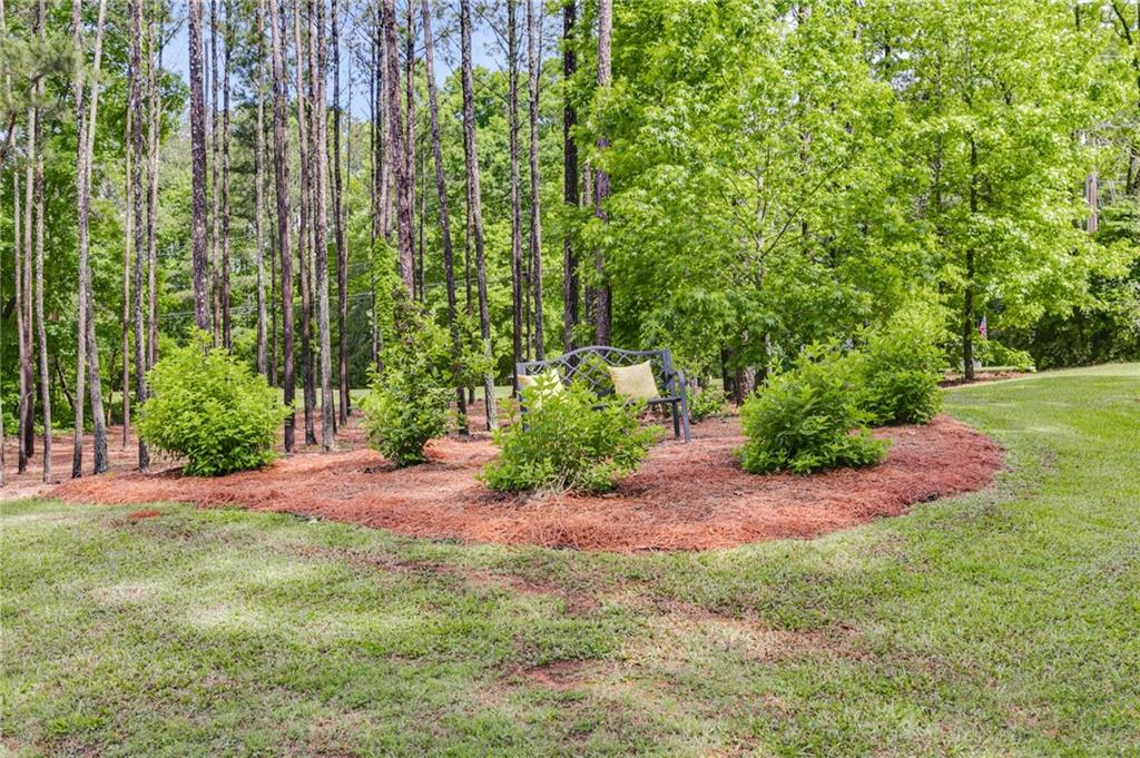 13 Westbrook Road Carrollton, GA 30116 - Photo 6 of 39 a view of a yard with plants and large trees