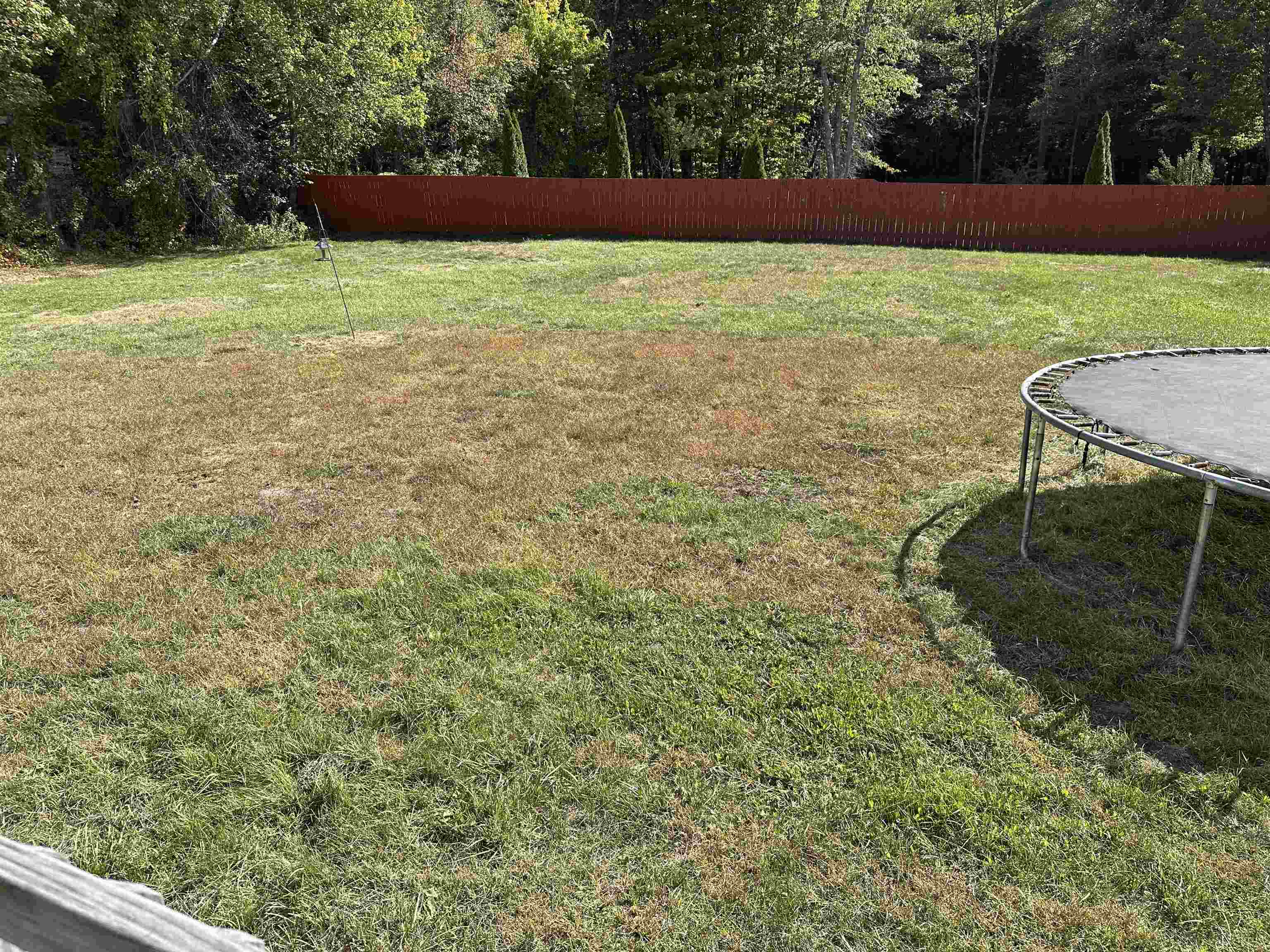 446 Squantum Road Jaffrey, NH 03452 - Photo 45 of 57