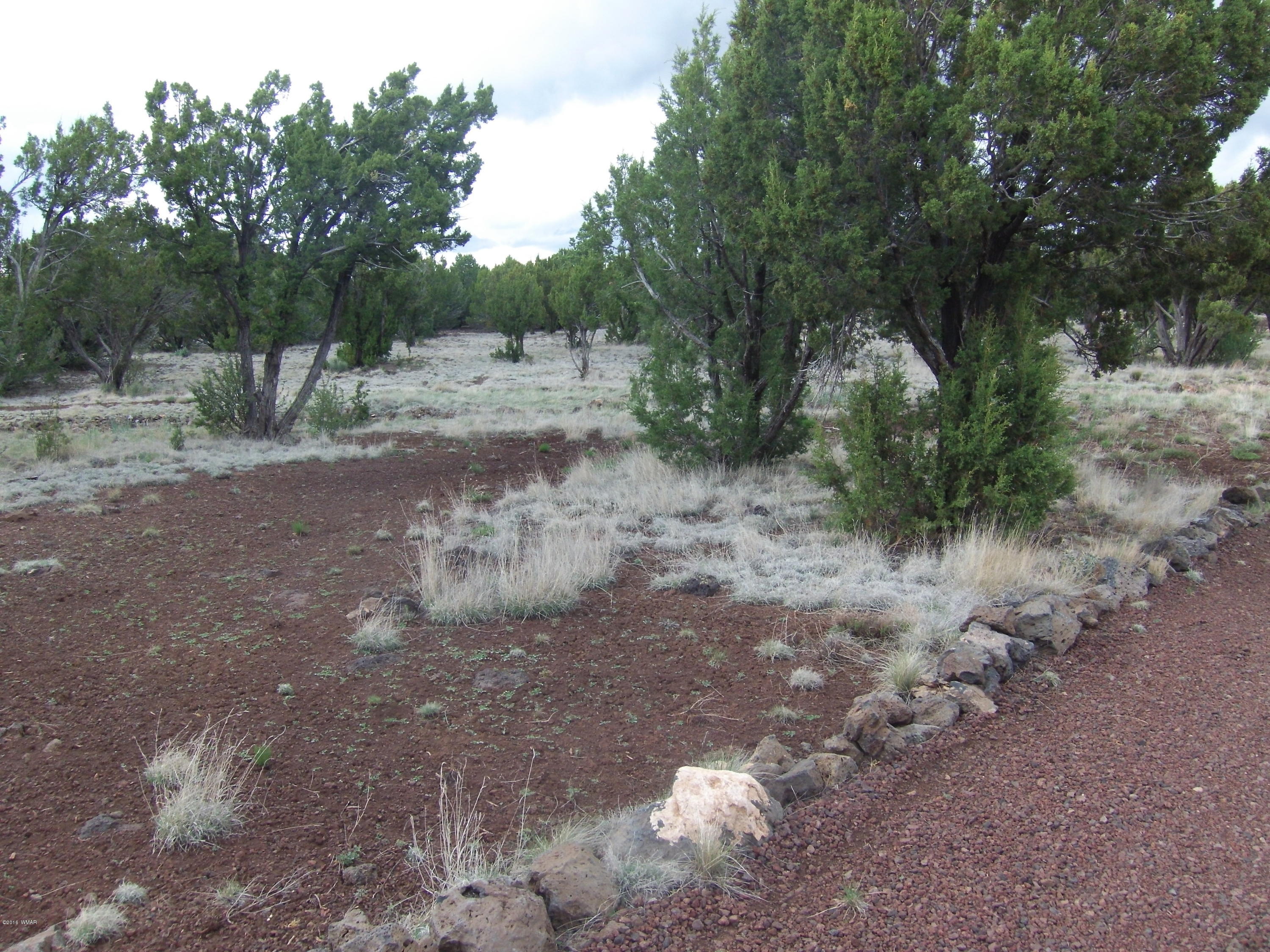 2192 K Kc Ranch Road Show Low, AZ 85901 - Photo 2 of 13