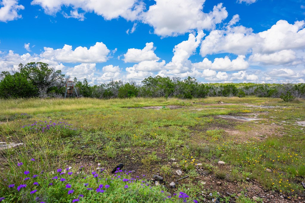 0 Jackson Ranch Rocksprings, TX 78880 - Photo 14 of 27