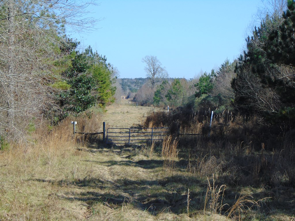 162 Christian Hts Road Braxton, MS 39044 - Photo 11 of 74 Photo 11