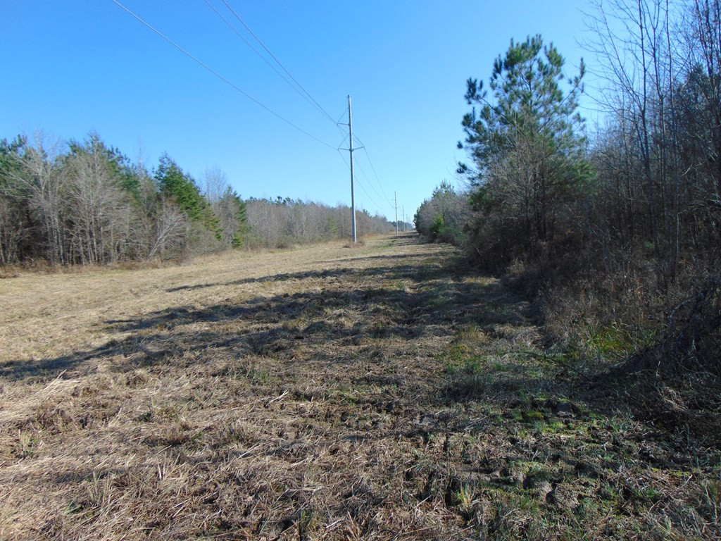 162 Christian Hts Road Braxton, MS 39044 - Photo 13 of 74 Photo 13