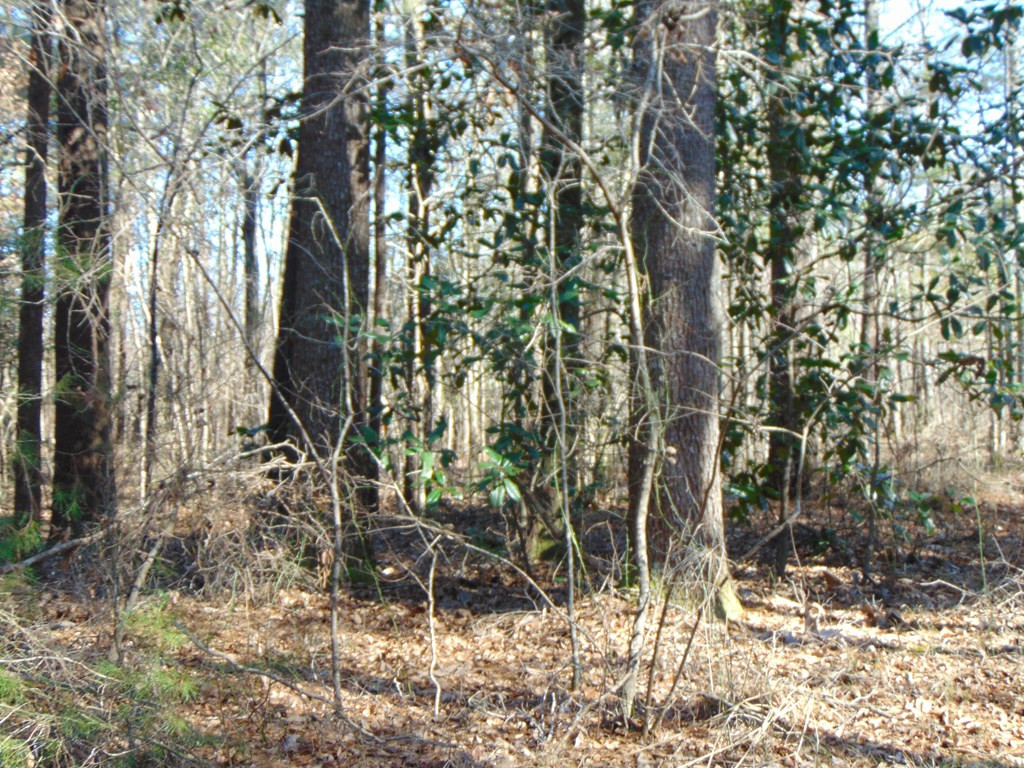 162 Christian Hts Road Braxton, MS 39044 - Photo 17 of 74 Photo 17