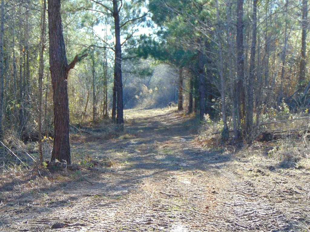 162 Christian Hts Road Braxton, MS 39044 - Photo 2 of 74 Photo 2