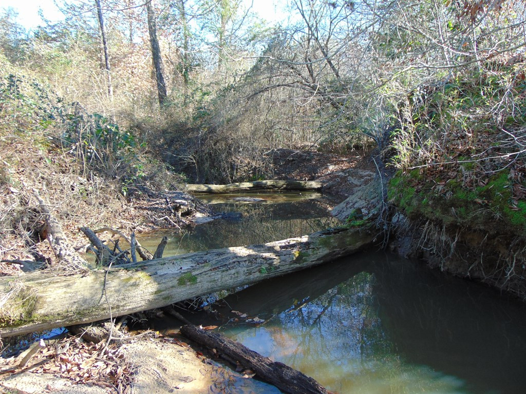 162 Christian Hts Road Braxton, MS 39044 - Photo 24 of 74 Photo 24