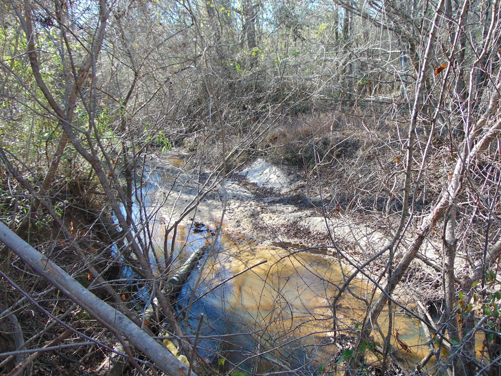 162 Christian Hts Road Braxton, MS 39044 - Photo 25 of 74 Photo 25