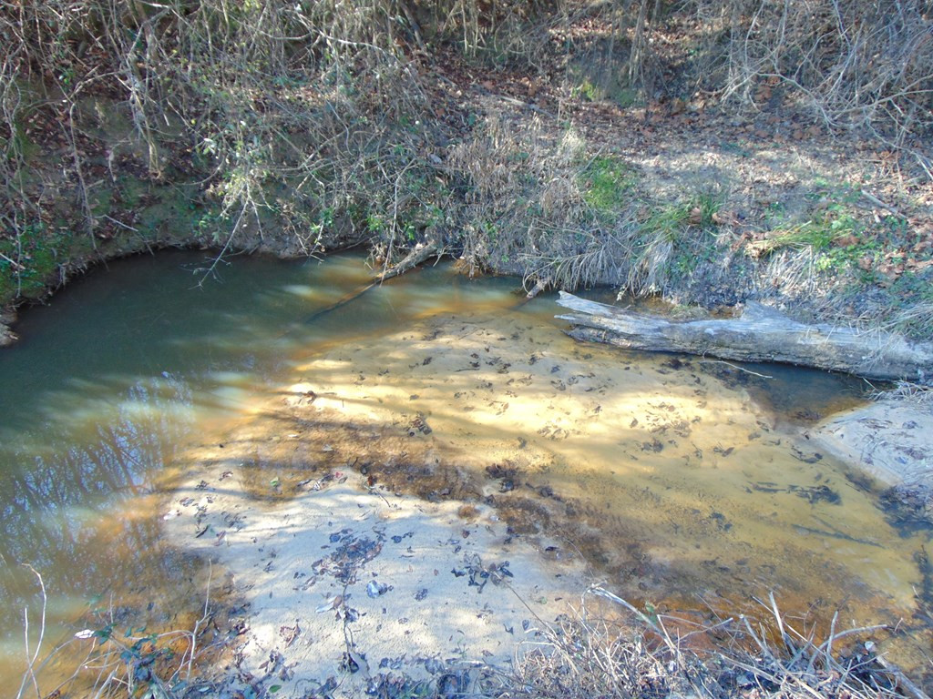 162 Christian Hts Road Braxton, MS 39044 - Photo 27 of 74 Photo 27