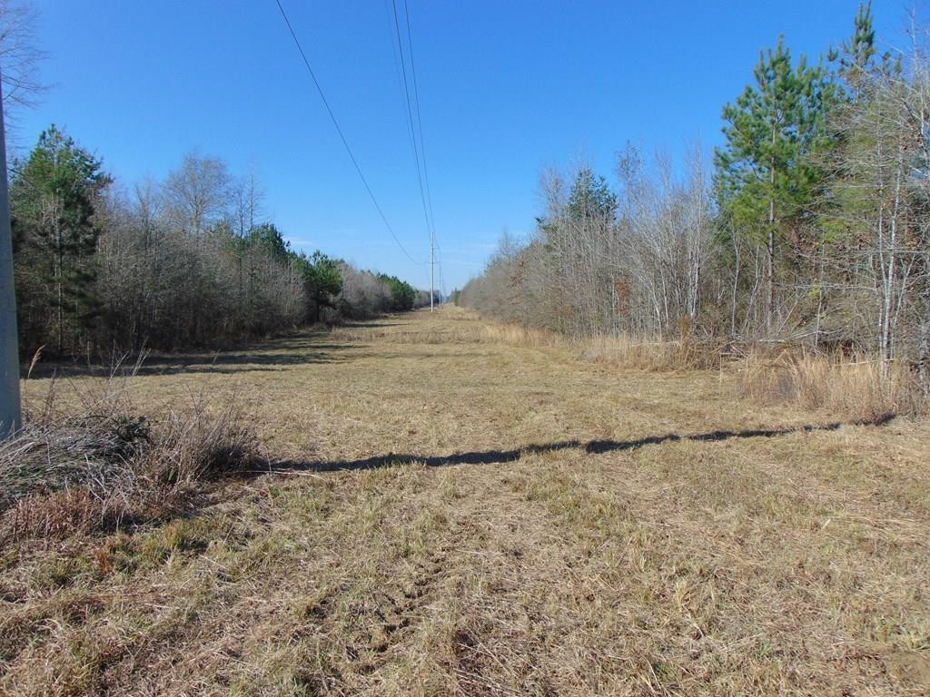 162 Christian Hts Road Braxton, MS 39044 - Photo 3 of 74 Photo 3