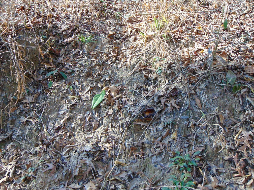 162 Christian Hts Road Braxton, MS 39044 - Photo 34 of 74 Photo 34