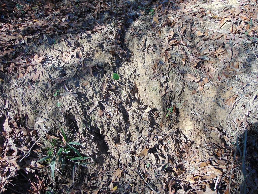 162 Christian Hts Road Braxton, MS 39044 - Photo 35 of 74 Photo 35