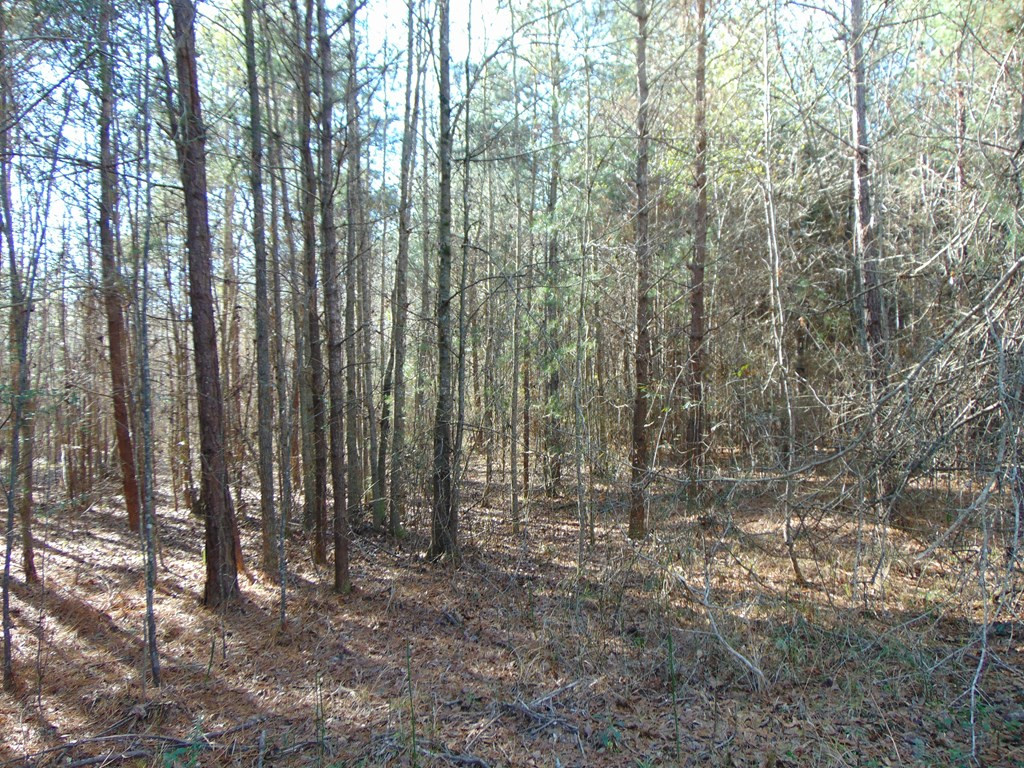 162 Christian Hts Road Braxton, MS 39044 - Photo 40 of 74 Photo 40