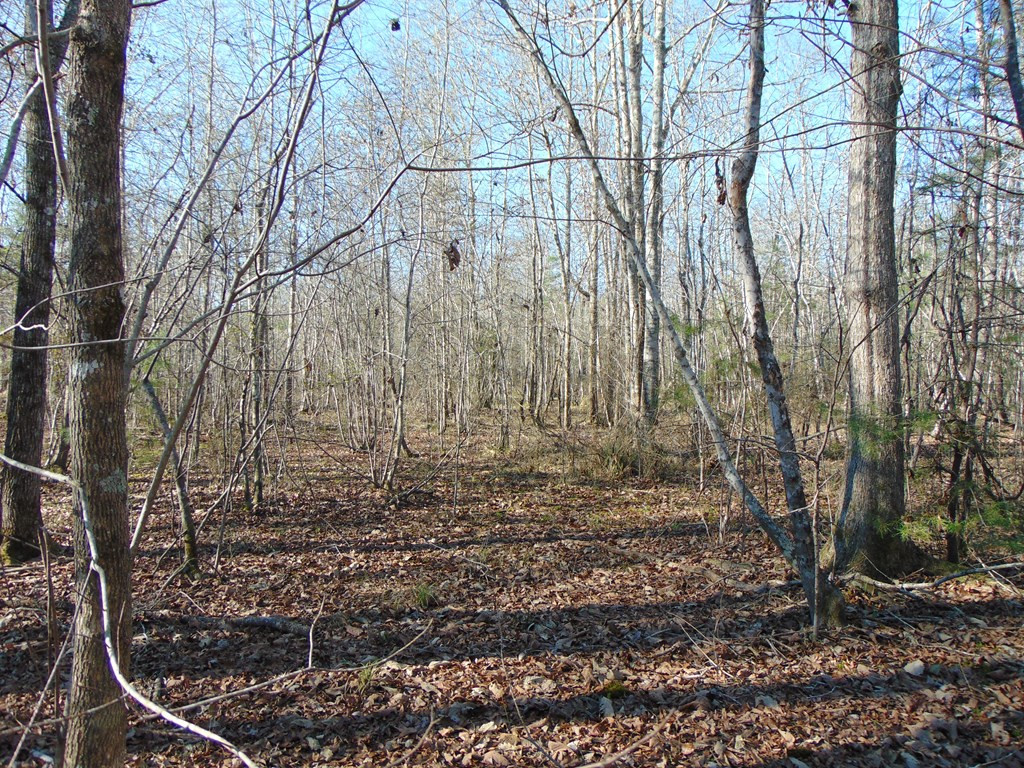 162 Christian Hts Road Braxton, MS 39044 - Photo 42 of 74 Photo 42