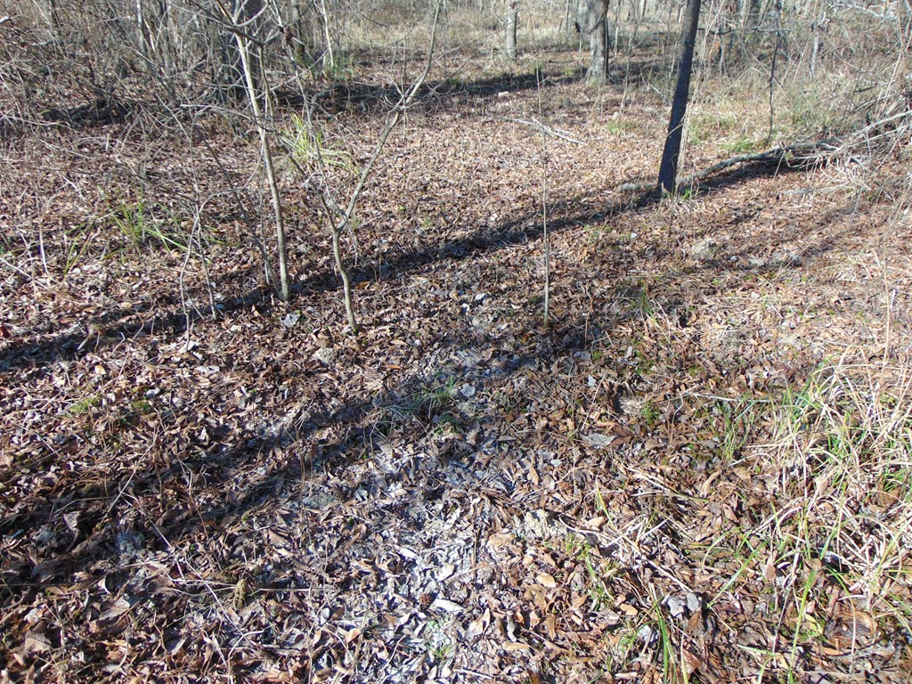 162 Christian Hts Road Braxton, MS 39044 - Photo 46 of 74 Photo 46