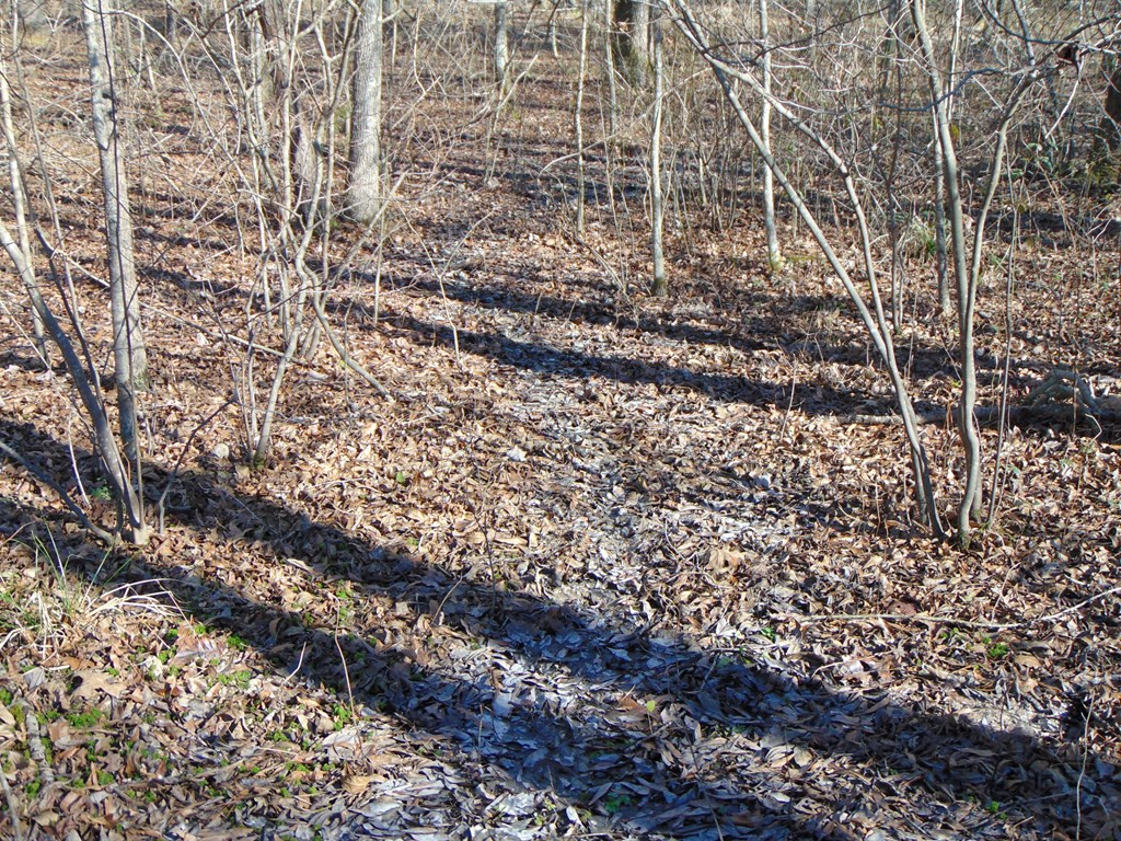 162 Christian Hts Road Braxton, MS 39044 - Photo 47 of 74 Photo 47