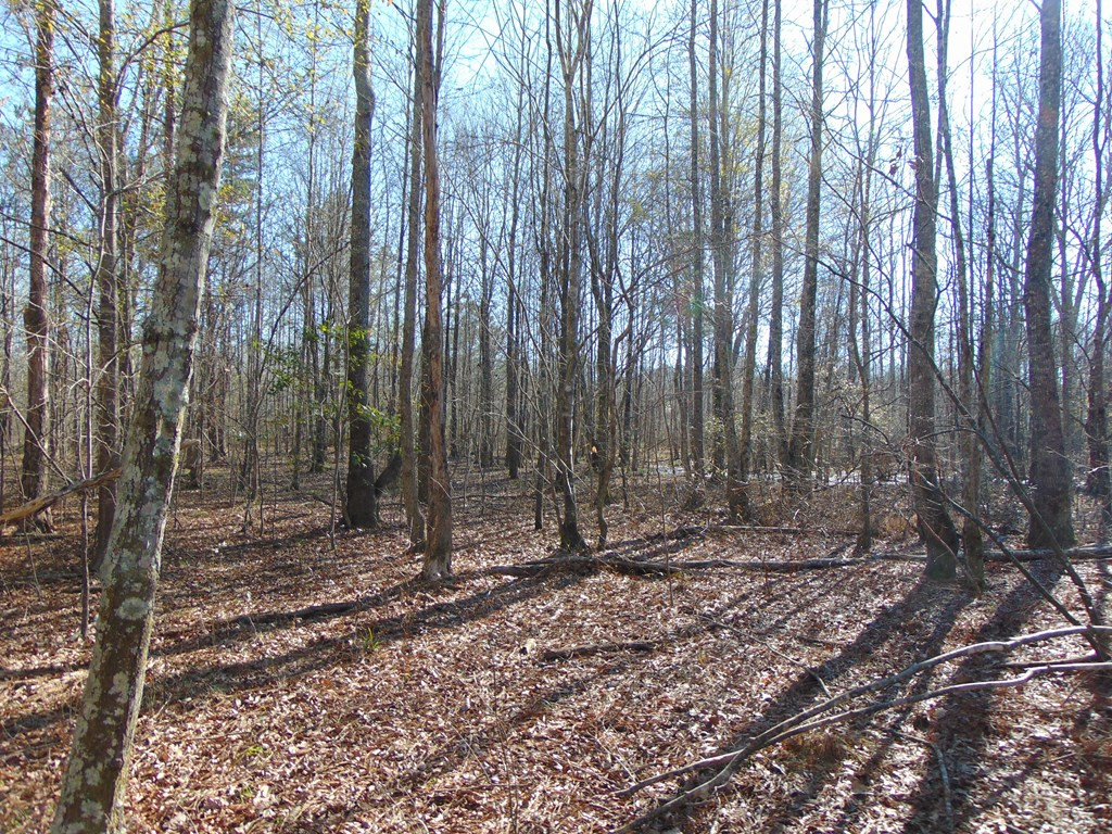 162 Christian Hts Road Braxton, MS 39044 - Photo 49 of 74 Photo 49