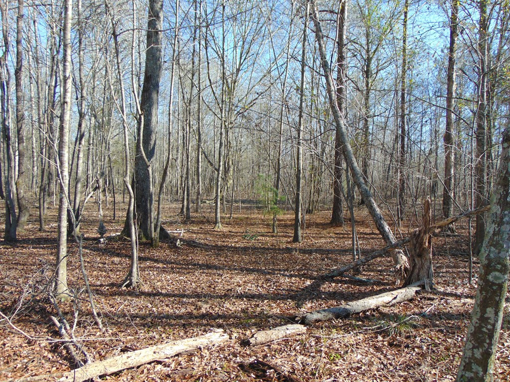 162 Christian Hts Road Braxton, MS 39044 - Photo 50 of 74 Photo 50